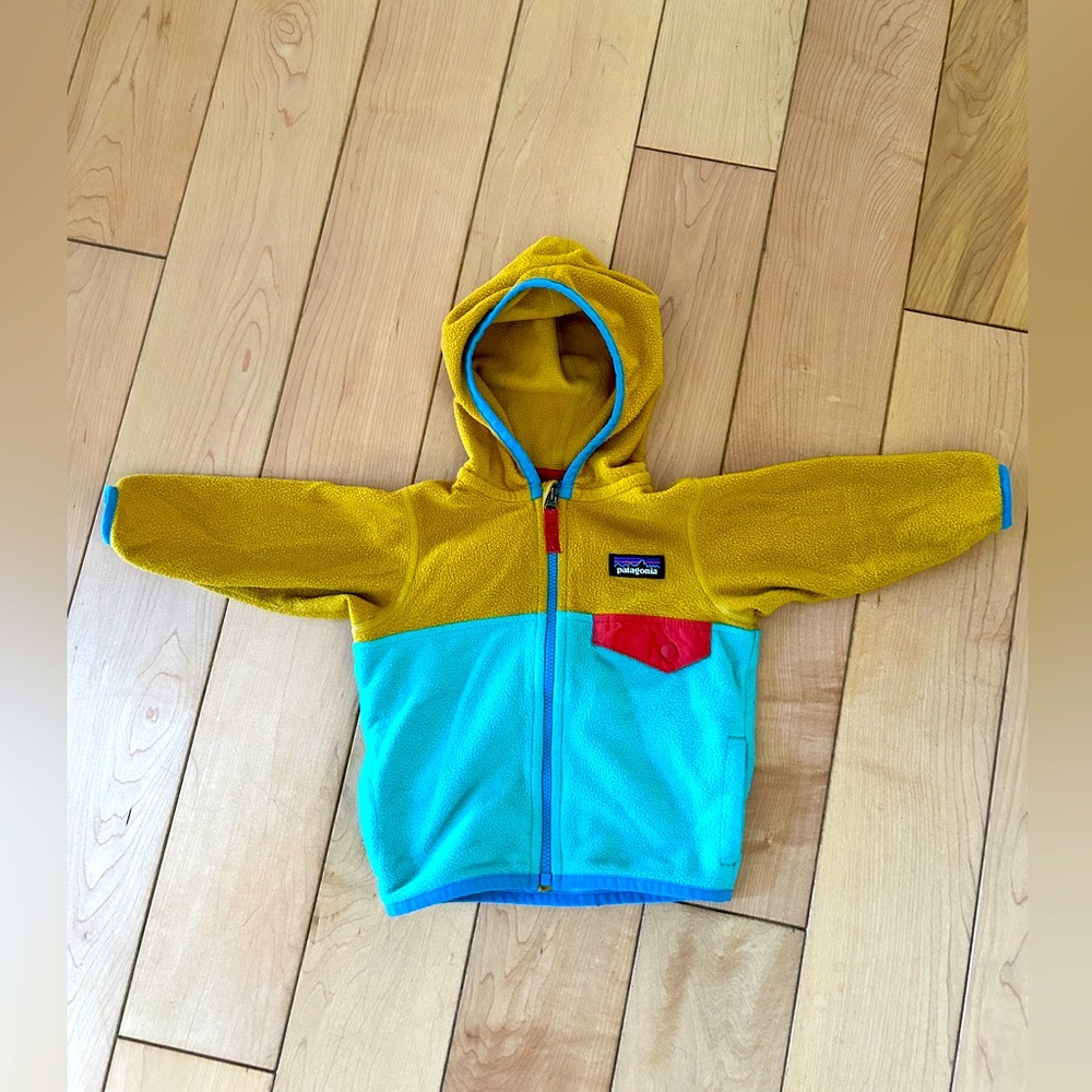 Patagonia MicroD fleece zip-up hoodie